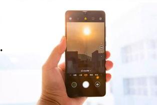 国产一区手机在线播放